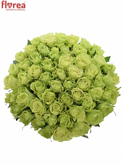 Kytice 55 zelených růží CAMOUFLAGE! 60cm