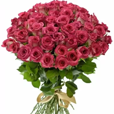Kytice 55 žíhaných růží CLARION 40cm