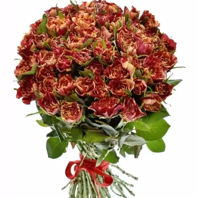 Kytice 55 žíhaných růží FIRE CRACKER 50cm