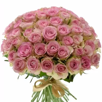 Kytice 55 žíhaných růží LOVELY JEWEL 40cm