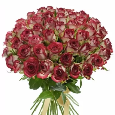Kytice 55 žíhaných růží PARADISO 40cm