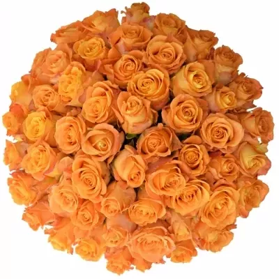 Kytice 55 žlutooranžových růží MORNING SUN 40cm