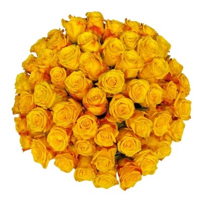 Kytice 55 žlutých růží CANDLELIGHT 60 cm