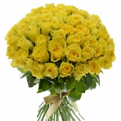 Kytice 55 žlutých růží GOLDEN TOWER 60 cm