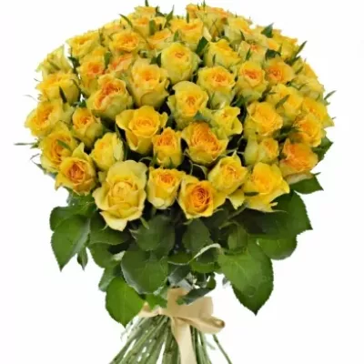 Kytice 55 žlutých růží PACO! 60cm