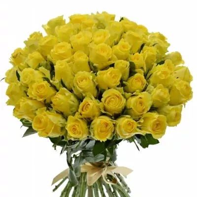 Kytice 55 žlutých růží Penny Lane 50cm