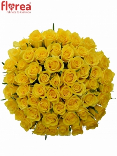 Kytice 55 žlutých růží SONRISA 50cm