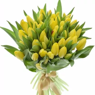 Kytice 55 žlutých tulipánů STRONG GOLD