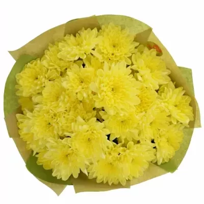 Kytice 7 chryzantém BALTICA YELLOW 40cm