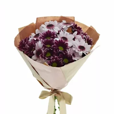 Kytice 7 chryzantém LOVELY HAYDAR