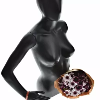 Kytice 7 chryzantém LOVELY HAYDAR