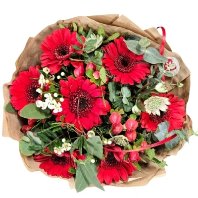 Kytice 7 ks gerber RED ADRIANA 