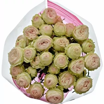 Kytice 7 trsových růží GALINA 50cm