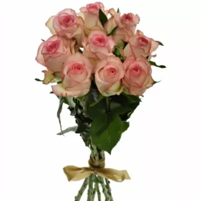 Kytice 9 bílorůžových růží JUMILIA 50cm