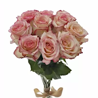 Kytice 9 bÍlorůžových růží TORMENTA