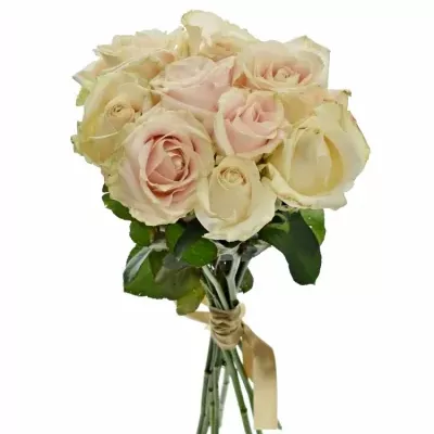 Kytice 9 bílých růží ADOR AVALANCHE+ 60cm