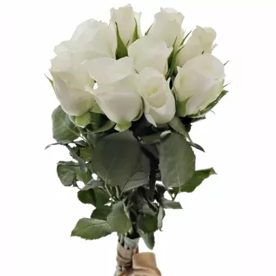 Kytice 9 bílých růží AKITO