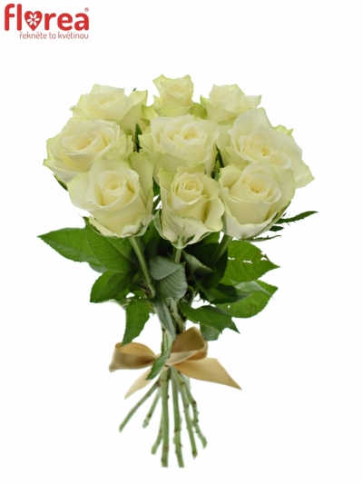 Kytice 9 bílých růží ATHENA 40cm