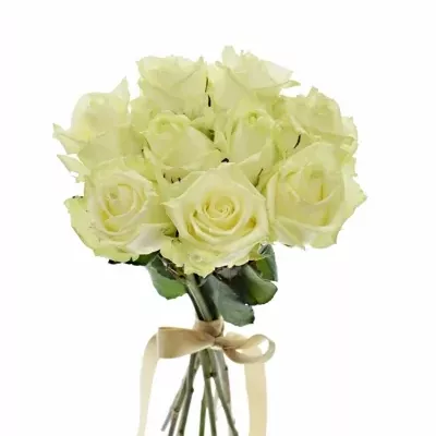 Kytice 9 bílých růží WHITE NAOMI