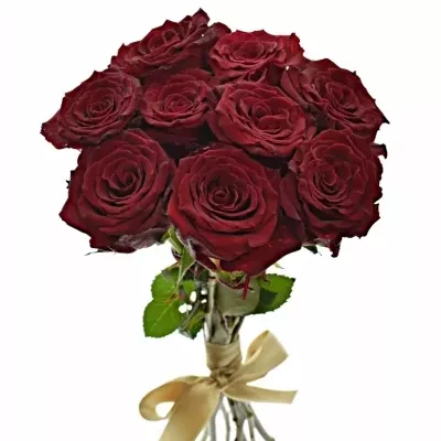 Kytice 9 červených růží ABBA