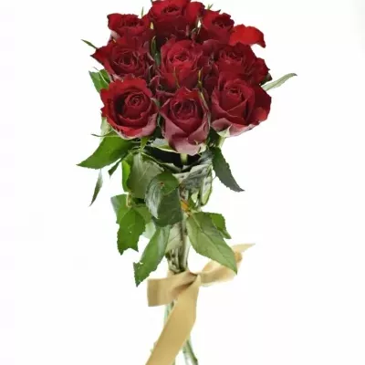 Kytice 9 červených růží MANDY 40cm