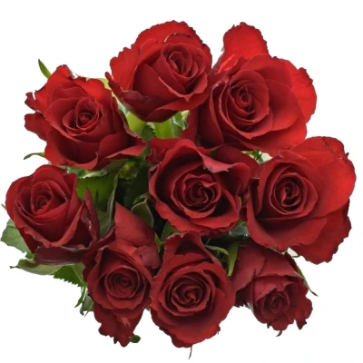 Kytice 9 červených růží MANDY