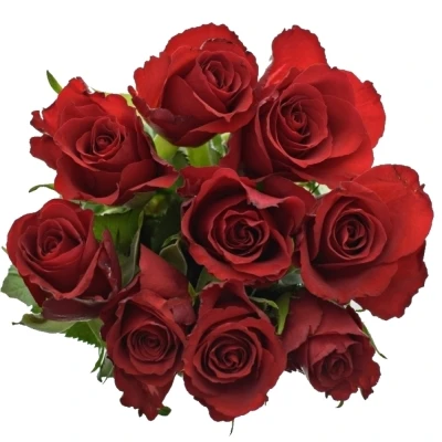 Kytice 9 červených růží MANDY