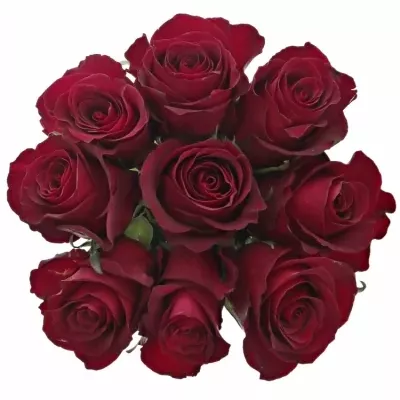 Kytice 9 červených růží NAZCA 70cm