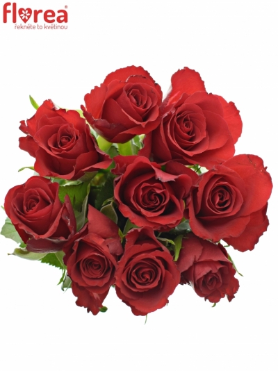 Kytica 9 červených ruží RED CALYPSO 50cm