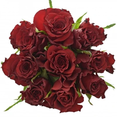 Kytice 9 červených růží RED MOUNTAIN