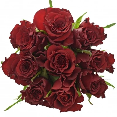 Kytice 9 červených růží RED MOUNTAIN