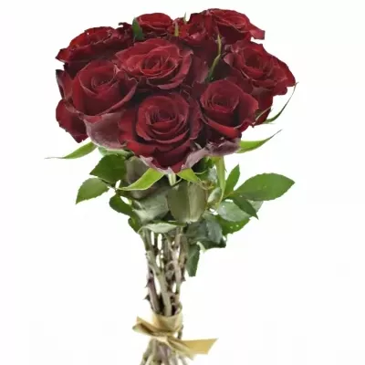 Kytice 9 červených růží RED PARIS 50cm