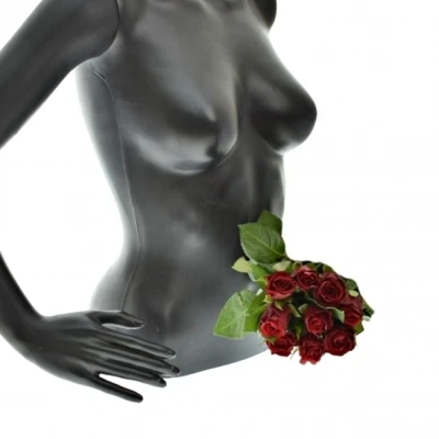 Kytice 9 červených růží SIMPLY RED