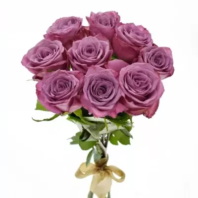 Kytice 9 fialových růží MARITIM