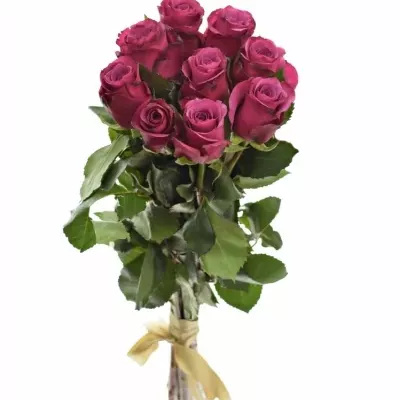 Kytice 9 fialových růží SHOGUN 40cm