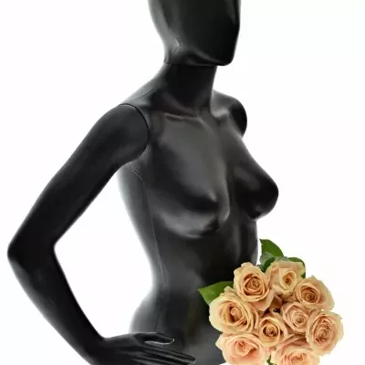 Kytice 9 krémových růží PEARL AVALANCHE+ 50cm