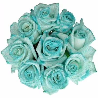 Kytice 9 ledově modrých růží ICE BLUE VENDELA 90cm