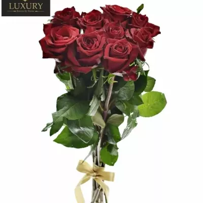 Kytice 9 luxusních růží EVER RED 100cm
