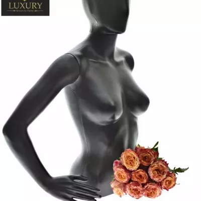 Kytice 9 luxusních růží HURRICANE 50cm
