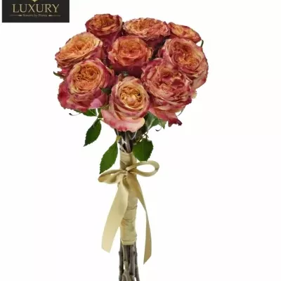 Kytice 9 luxusních růží HURRICANE 50cm