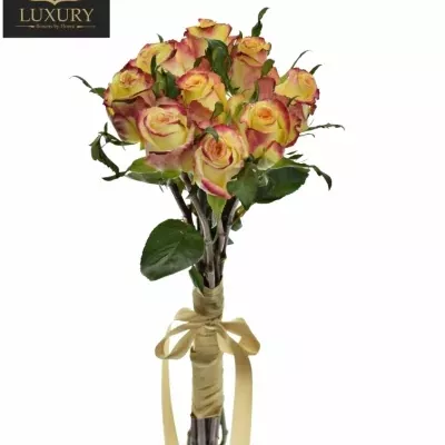 Kytice 9 luxusních růží KNOX 70cm