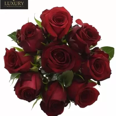 Kytice 9 luxusních růží MENDOZA 40cm
