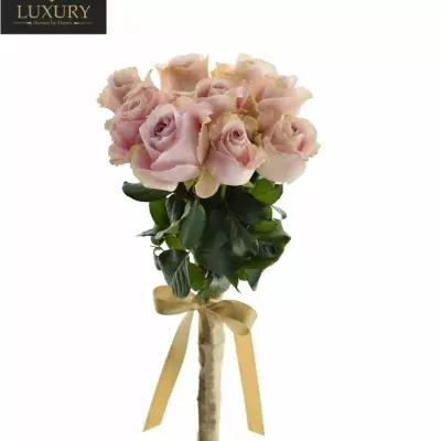 Kytice 9 luxusních růží PINK AVALANCHE+