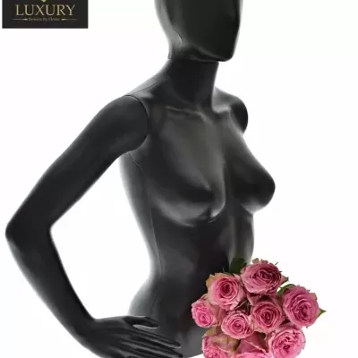 Kytice 9 luxusních růží PINK TORRENT 50cm