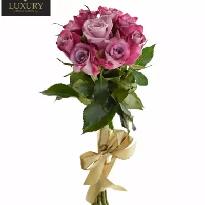 Kytice 9 luxusních růží ROCKFIRE 50cm