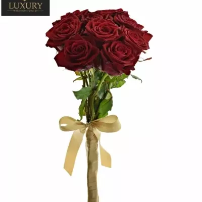 Kytice 9 luxusních růží TESTAROSSA 50cm