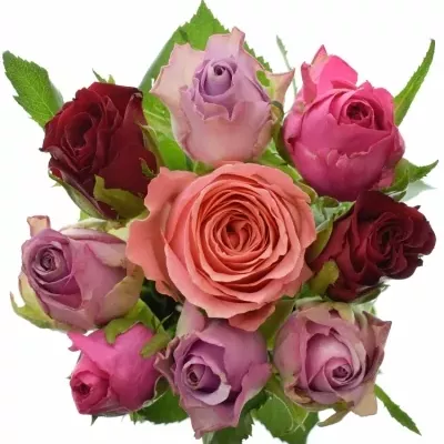 Míchaná kytice 9 vícebarevných růží ABERA 40 cm