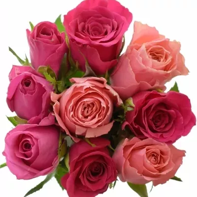 Kytice 9 míchaných růží ABERIA 40cm
