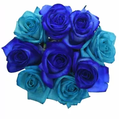 Míchaná kytice 9 ks BLUE ADRIANA 70cm