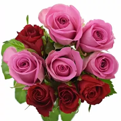 Kytice 9 vícebarevných růží DELIANNE 40 cm